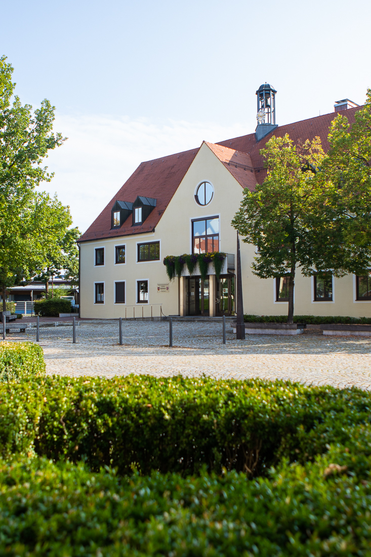 Fotografie der Baumkrone Werbeagentur